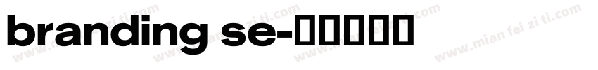branding se字体转换